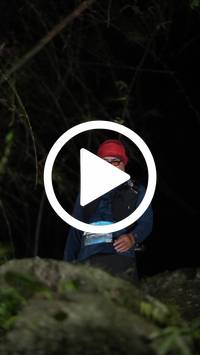 BIB:  <button type="button" onclick="openModal(27921498)" class="btn btn-primary btn-sm float-right" data-toggle="modal" data-target=".modal-high-quality">
                <i class="fa fa-download"></i> Download
                </button>